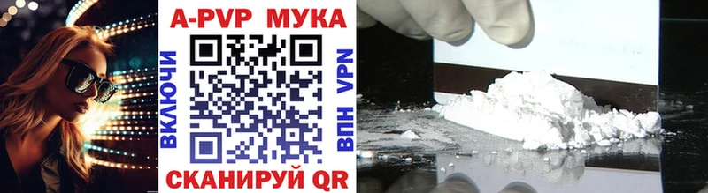 Альфа ПВП СК КРИС  Ярославль 