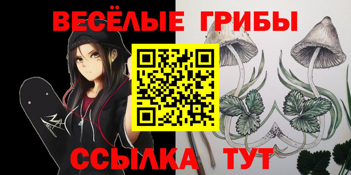 Псилоцибиновые грибы GOLDEN TEACHER  Вход с VPN  Ярославль  Псилоцибиновые грибы GOLDEN TEACHER 